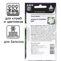 Семена цветов Катарантус Пацифика "Вайт"  10 шт