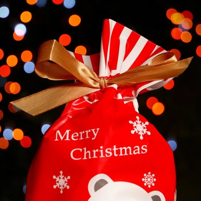 Пакет полиэтиленовый подарочный &laquo;Белый медведь&raquo;, с завязками, 14.5&times;22.5 см