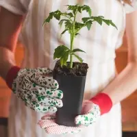 Горшок для рассады, 600 мл, d=8 см, h=15 см, пластик, МИКС, Greengo