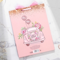 Конверт для денег на свадьбу &laquo;Нежность&raquo;, открытка, 6 листов.