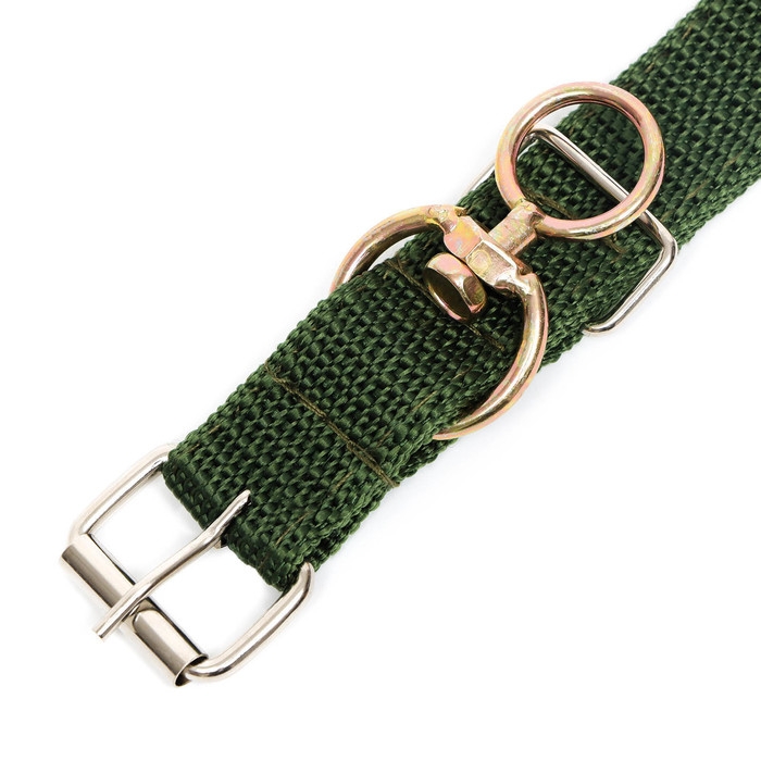 Ошейник двухслойный с вертлюгом, 2,5 см, зелёный Ошейник двухслойный с вертлюгом, 2,5 см, зелёный