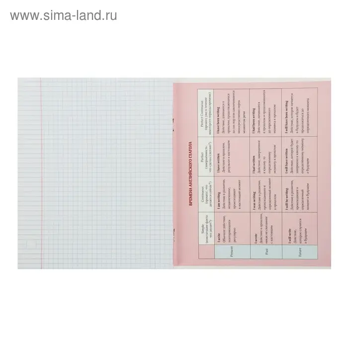 Тетрадь предметная Calligrata &laquo;Фото&raquo;, 48 листов в клетку Английский язык, со справочным материалом, обложка мелованный картон, блок офсет