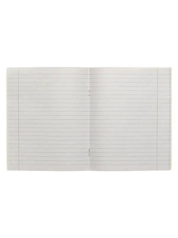 Тетрадь предметная 48 листов в линейку Calligrata, &laquo;Металл. Литература&raquo;, обложка мелованный картон, серые листы