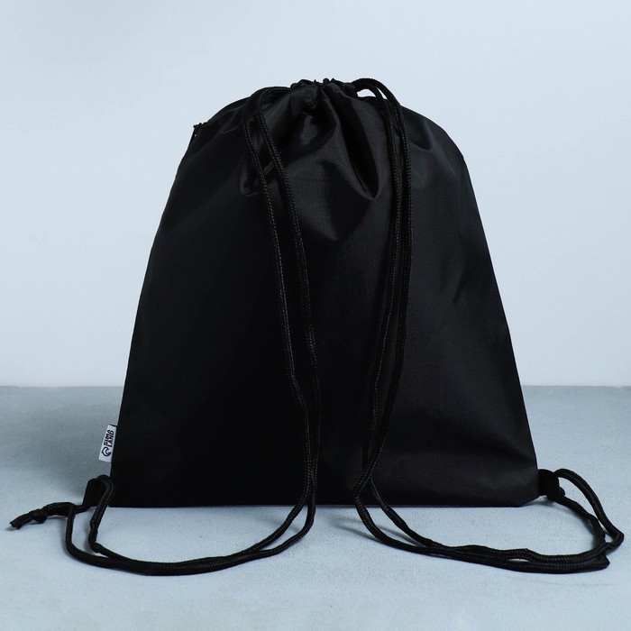 Мешок для обуви &laquo;Крутая тачка&raquo; 2 секции, 30 х 40 см