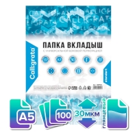 Файл-вкладыш А5, 30 мкм, Calligrata, глянцевый, горизонтальная ориентация, 100 штук Файл-вкладыш А5, 30 мкм, Calligrata, глянцевый, горизонтальная ориентация, 100 штук