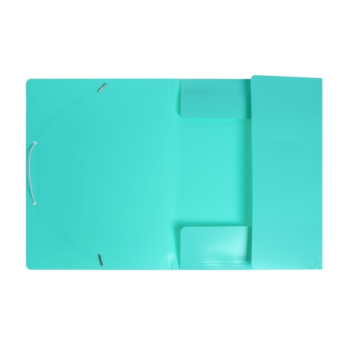 Папка на резинке А4, 500 мкм, Calligrata, Pastel, корешок 20 мм, до 150 листов, тиснение Папка на резинке А4, 500 мкм, Calligrata, Pastel, корешок 20 мм, до 150 листов, тиснение "песок", мятный