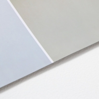 Фотофон двусторонний бумага 300 гр "Изящные растения" 57х87 см Фотофон двусторонний бумага 300 гр "Изящные растения" 57х87 см