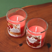 Свечи в стакане новогодние «Новый год: Счастливого Нового года», набор, 2 шт., аромат вишня Свечи в стакане новогодние «Новый год: Счастливого Нового года», набор, 2 шт., аромат вишня