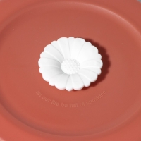 Контейнеры стеклянные с крышкой Доляна &laquo;Коралл&raquo;, 390/530 мл