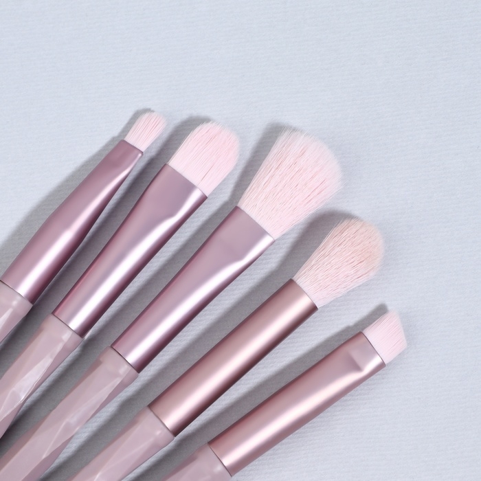 Набор кистей для макияжа, 5 предметов, цвет сиреневый Набор кистей для макияжа, 5 предметов, цвет сиреневый