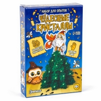 Новый год! Набор для опытов &laquo;Чудесные кристаллы: Волшебник&raquo;