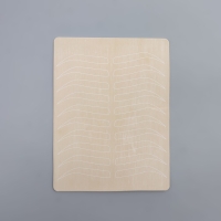 Искусственная кожа для тату и татуажа бровей, 19 &times; 14,5 см, цвет бежевый