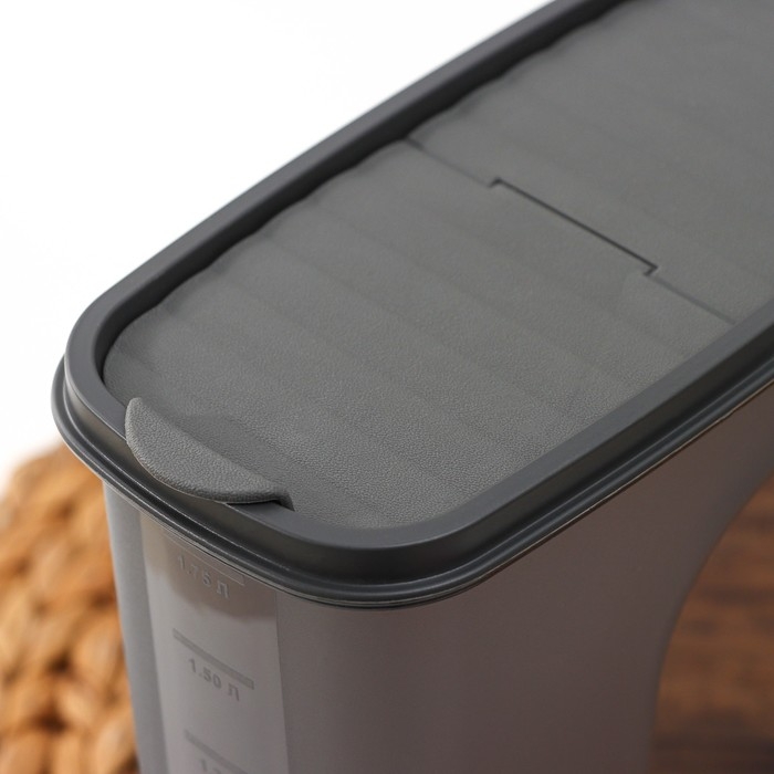 Ёмкость для сыпучих продуктов &laquo;Бест&raquo;, 2 л, 9,5&times;19&times;19 см, цвет прозрачный, крышка серая