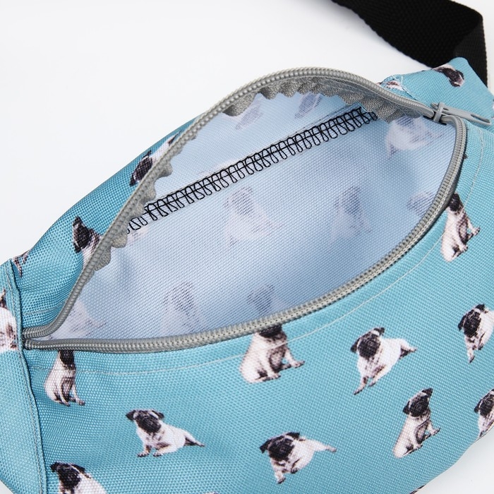 Поясная сумка на молнии, цвет голубой Поясная сумка на молнии, цвет голубой