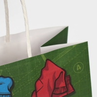 Пакет подарочный, упаковка, &laquo;Завоеватель&raquo;, 22 х 22 х 11 см