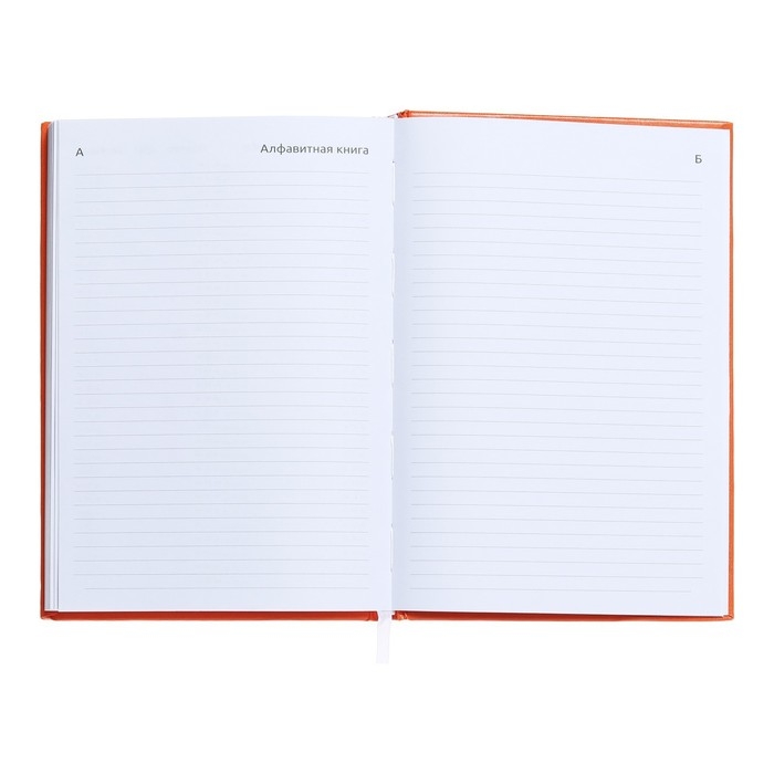 Ежедневник датированный 2024 года, А5, 176 листов, Attomex.Even, обложка бумвинил, ляссе, блок 70 г/м2, оранжевый