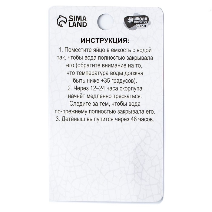 Растущие игрушки &laquo;Мир динозавров&raquo;, МИКС