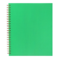 Тетрадь на гребне A5 96 листов в клетку Calligrata Зелёная, пластиковая обложка, блок офсет Тетрадь на гребне A5 96 листов в клетку Calligrata Зелёная, пластиковая обложка, блок офсет