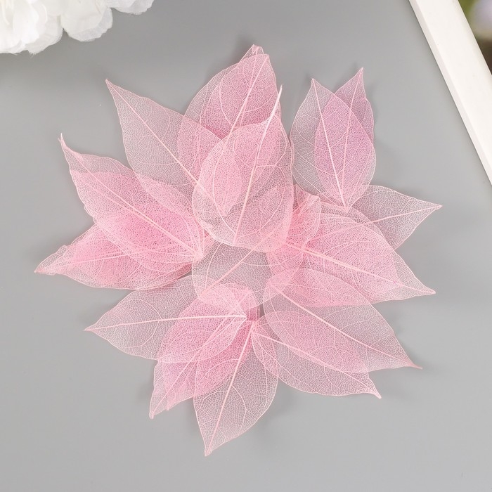 Листья скелетированные для творчества "Светло-розовые" набор 20 шт h=6-6,5 см