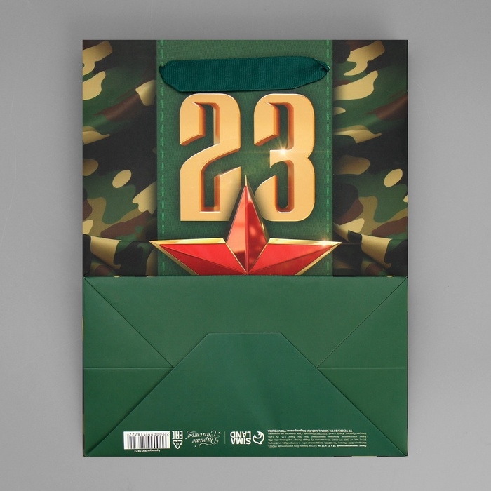 Пакет подарочный ламинированный вертикальный, упаковка, &laquo;С 23 февраля&raquo;, MS 18 х 23 х 10 см