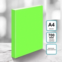 Папка с пружинным скоросшивателем А4, 700 мкм, 27 мм, Calligrata Double Neon, внутренний карман, до 180 листов, салатовый неон Папка с пружинным скоросшивателем А4, 700 мкм, 27 мм, Calligrata Double Neon, внутренний карман, до 180 листов, салатовый неон