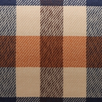 Сумка-переноска каркасная, со шторкой, размер M,  43 х 21 х 26 см, клетчатая