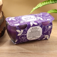 Набор свечей "SCENTED CANDLE" 100 гр, лавандовые поля