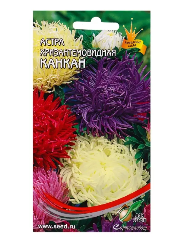 Семена цветов Астра хризант.Канкан смесь 100 шт