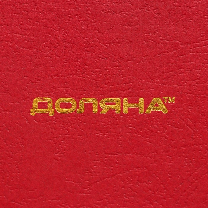 Чайная пара фарфоровая Доляна &laquo;Вдохновение&raquo;, 2 предмета: чашка 250 мл, блюдце d=15,1 см