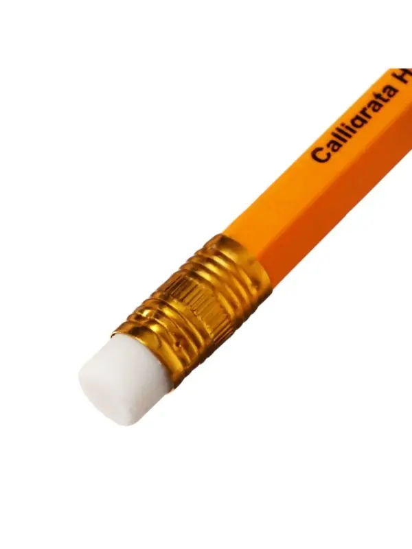 Набор карандашей чернографитных 12 штук, Calligrata Classic, с ластиком, заточенные, пластик, трехгранные, оранжевые