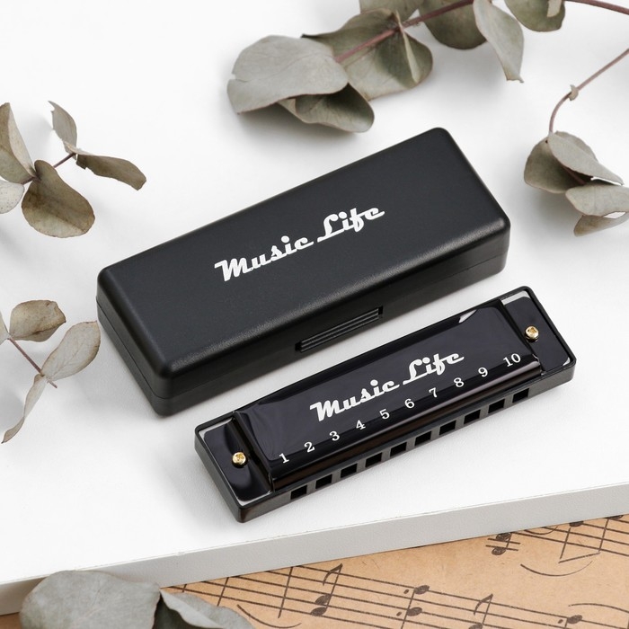 Губная гармошка Music Life, диатоническая, C-major, с футляром, черная Губная гармошка Music Life, диатоническая, C-major, с футляром, черная