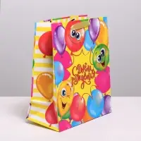 Пакет подарочный ламинированный, упаковка, &laquo;Весёлого дня рождения!&raquo;, ML 23 х 27 х 11.5 см