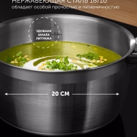 Кастрюля Rialto-20С со стеклянной крышкой, 3.2 литра