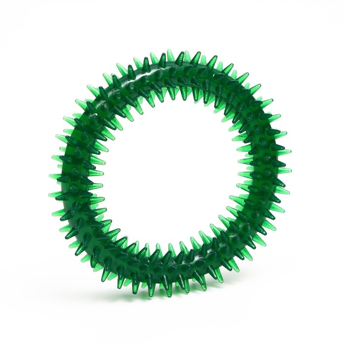Игрушка для собак Игрушка для собак "Кольцо с шипами", 12,5 см, прозрачная, зелёная