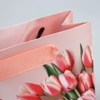 Пакет подарочный ламинированный, упаковка, &laquo;8 марта&raquo;, S 12 х 15 х 5.5 см