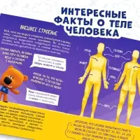 Мини-энциклопедия &laquo;Тело человека&raquo;, 20 стр., 12 &times; 17 см, Ми-Ми-Мишки