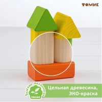 Логический игровой набор &laquo;Сортер-вкладыш. Геометрия&raquo; 17 деталей