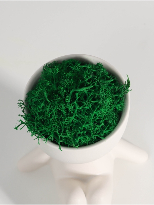 Кашпо керамика "Мистер Грин на чиле" 10*9,5*12 см  белый