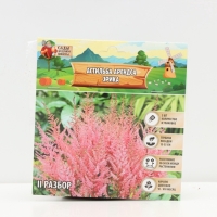 Астильба Арендса Erika многолетник, корневище в торфогрунте, р-р II, 2 шт.