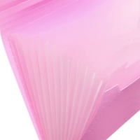 Папка картотека А4, Calligrata "Акварель", 13 отделений, пластиковая, 700 мкм, фламинго, резинка чёрная Папка картотека А4, Calligrata "Акварель", 13 отделений, пластиковая, 700 мкм, фламинго, резинка чёрная