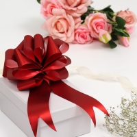 Бант-шар №4.5, красный