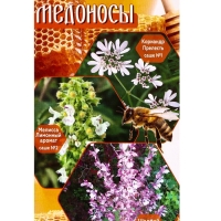 Семена Набор пряных трав-медоносов, привлекающих опылителей: Кориандр, Мелисса, Шалфей, 0,3 г 108847