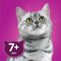 Влажный корм Whiskas для кошек 7+ рагу с курицей, 75 г