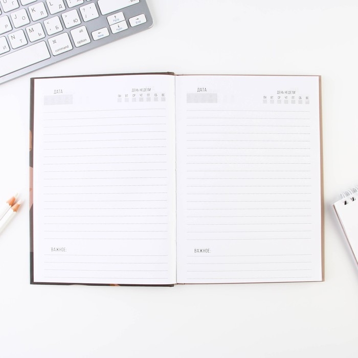 Подарочный набор &laquo;The BEST TEACHER&raquo;: ежедневник А5, 80 листов и 2 шт ручки (шариковые, 1 мм, синяя,красная паста)