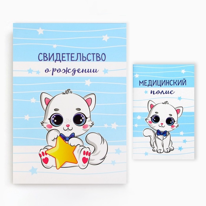 Папка для документов набор &laquo;Мои первые документы&raquo;, 23,5 х 31,3 см