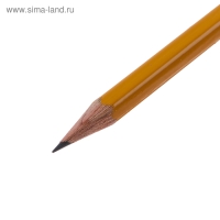 Набор карандашей чернографитных разной твердости 12 штук Koh-I-Noor 1500, HB-10H, в металлическом пенале Набор карандашей чернографитных разной твердости 12 штук Koh-I-Noor 1500, HB-10H, в металлическом пенале