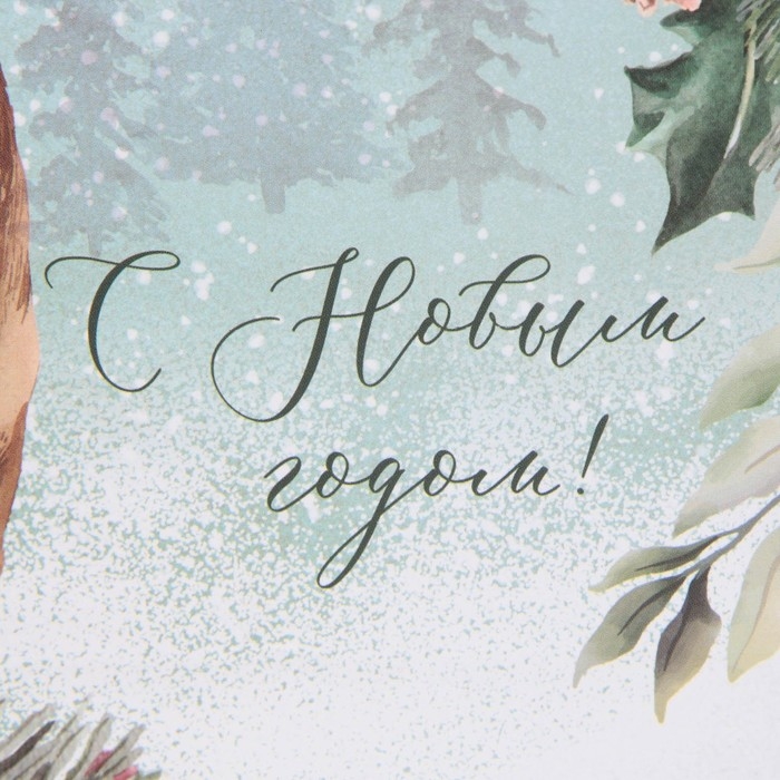 Пакет подарочный новогодний ламинированный &laquo;На лесной опушке&raquo;, MS 23 х 18 х 8 см