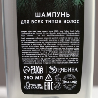 Подарочный набор косметики &laquo;Самому лучшему мужчине в Новый Год&raquo;, гель для душа и шампунь для волос, 2 х 250 мл, ЧИСТОЕ СЧАСТЬЕ