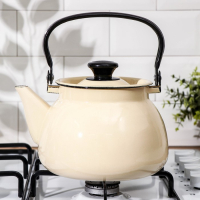 Чайник сферический, 3 л, индукция, цвет слоновая кость Чайник сферический, 3 л, индукция, цвет слоновая кость