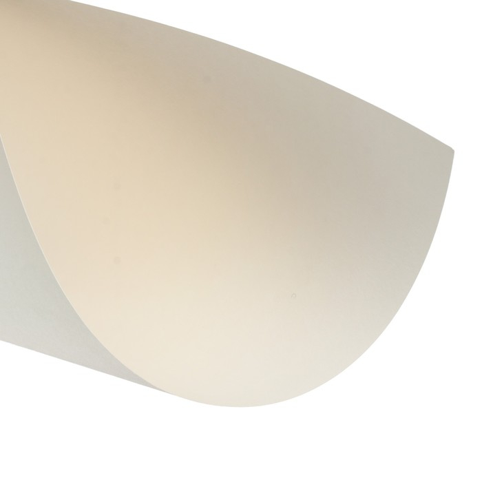 Папка для пастели А3, 297 х 420 мм, 20 листов, тонированная бумага, слоновая кость, ГОЗНАК "Скорлупа", блок 200 г/м&sup2;